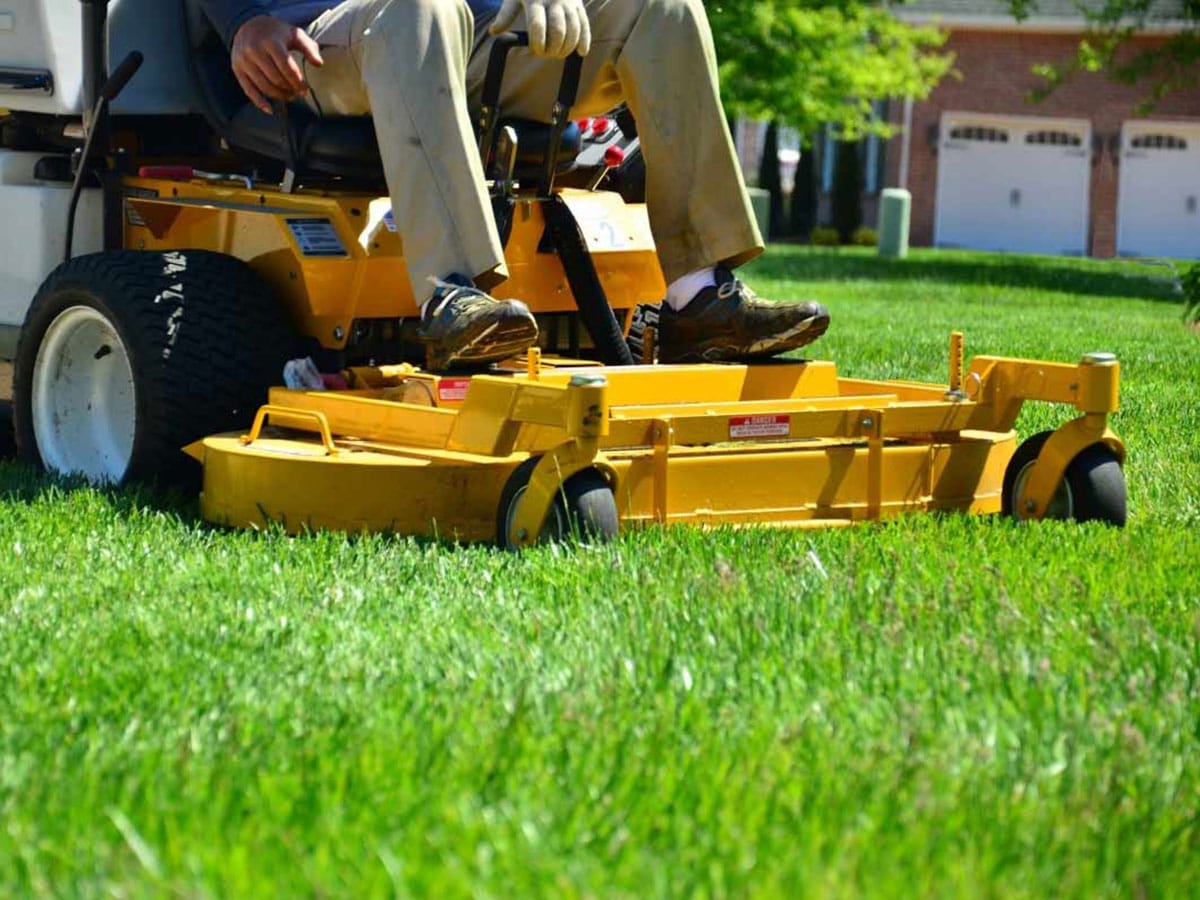 Lawn - Natural Touch Landscaping