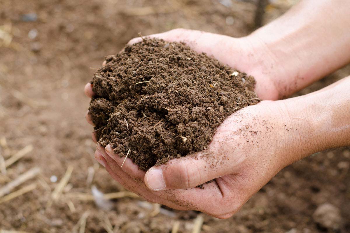 Compost - Natural Touch Landscaping